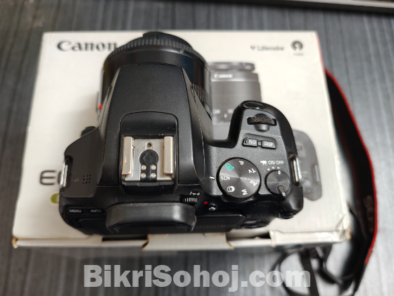 Canon EOS 250D + 50MM Prime Lens